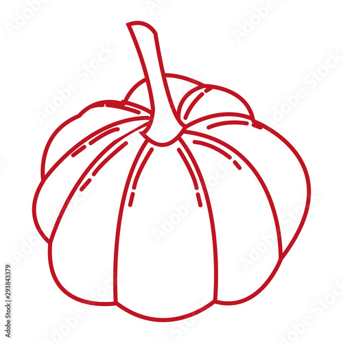autumn pumpkin fruit seasonal isolated icon