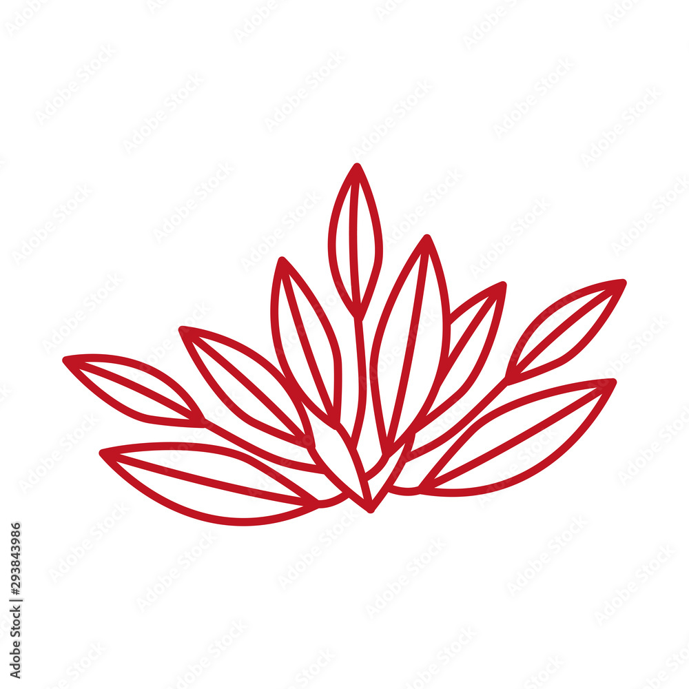 autumn leafs plant seasonal isolated icon