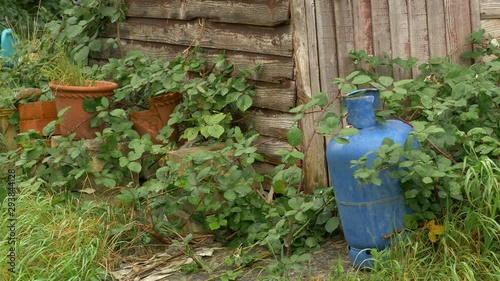 Overgrown garden with old gas bottle with brambles and pots