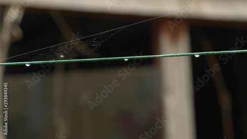 Spiderweb on washing line in the rain