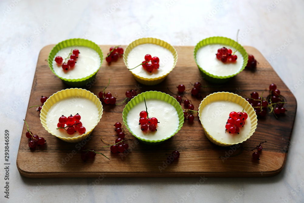 Italian dessert panna cotta with fresh red currants served in silicon molds form on wooden tray and white background.