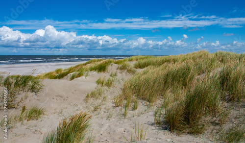 Dünen Wangerooge Strand Nordsee Sommer Nationalpark Wattenmeer Dünengras Horizont Ostfriesland Küstenschutz Sand Wind Meer Welterbe Urlaub Ferien Freizeit Spaziergang Gezeiten Sturmflut