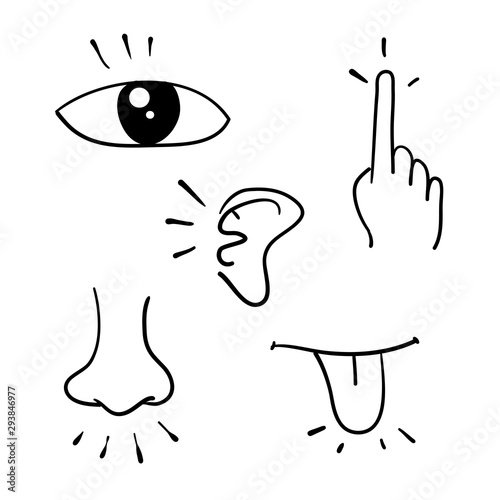 Icon set of five human senses doodle handdrawn style vector