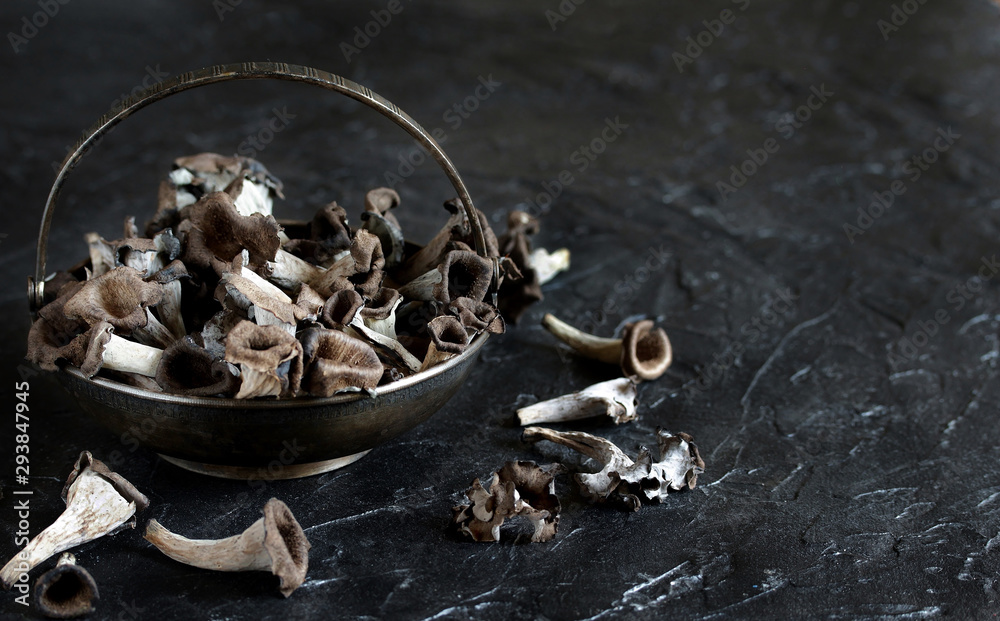 black chanterelle mushroom. Black Trumpet Mushroom. black chanterelle mushroom. Black Trumpet Mushroom.