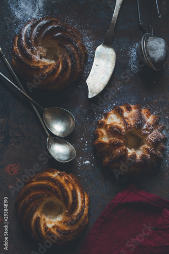 Cottage chees cakes sprinckled with sugar powder on a table, top view photo