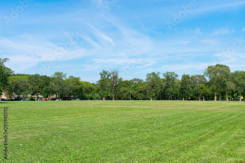 Wide Open Space at Vernon Park in University Village in Chicago during Summer