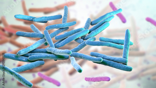 Fényképezés Mycobacterium leprae bacteria, the causative agent of leprosy, 3D illustration