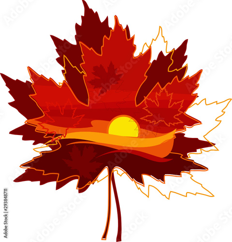 balls, lights, garland, light bulb, light bulbs, sunset, autumn, leaves, red, autumn leaves,