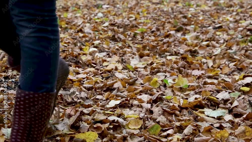 A girl in rubber boots walks through an autumn park on dry autumn leaves A girl in rubber boots walks through an autumn park on dry autumn leaves