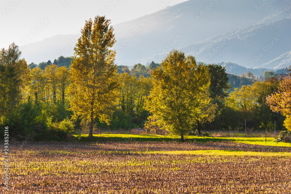 Naklejka premium Autumn in the Trevigiani hills