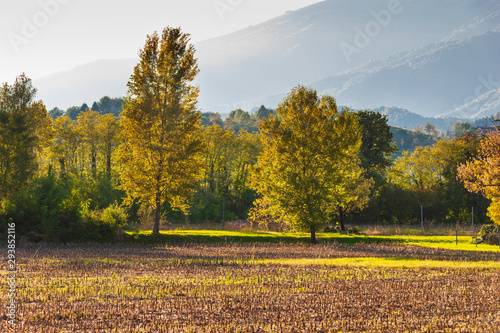 Autumn in the Trevigiani hills