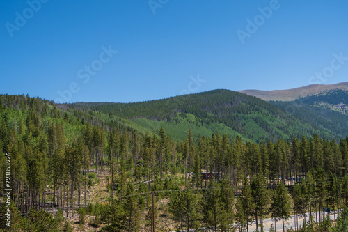 Landscape of tree covered mountain side in Winter Park, Colorado in summer