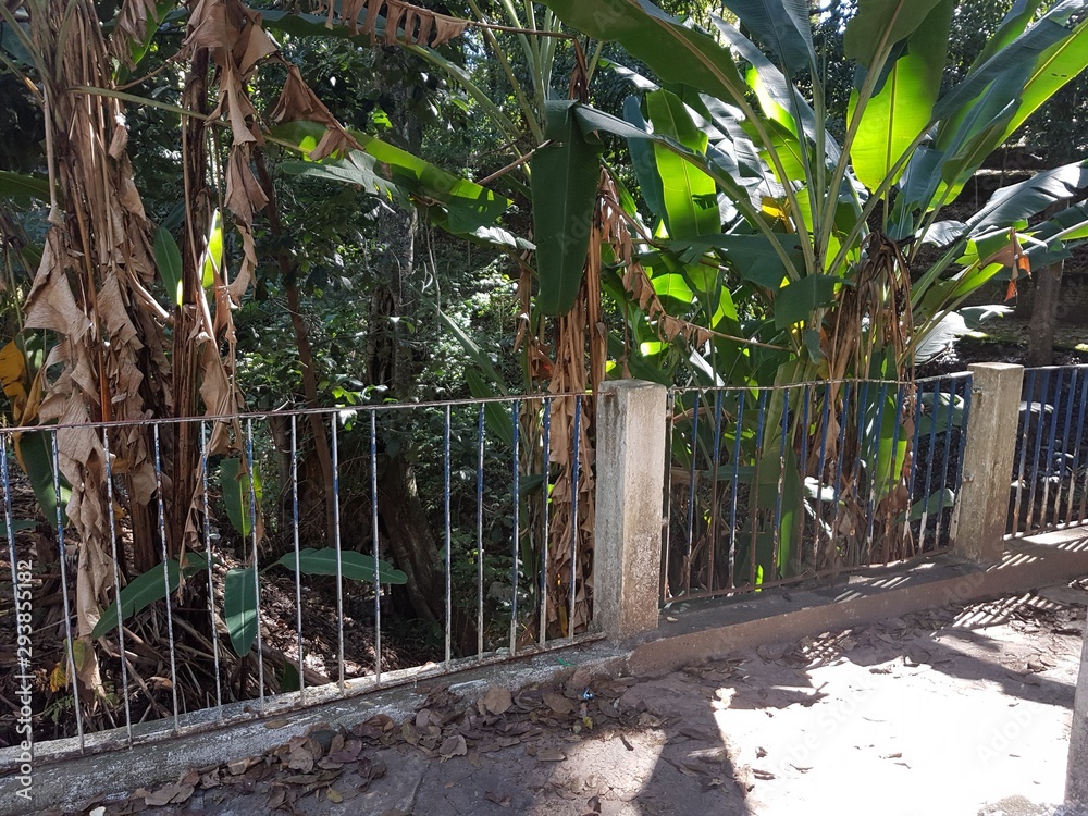 caminho com guarda-corpo em parque no interior de São Paulo, Brasil caminho com guarda-corpo em parque no interior de São Paulo, Brasil