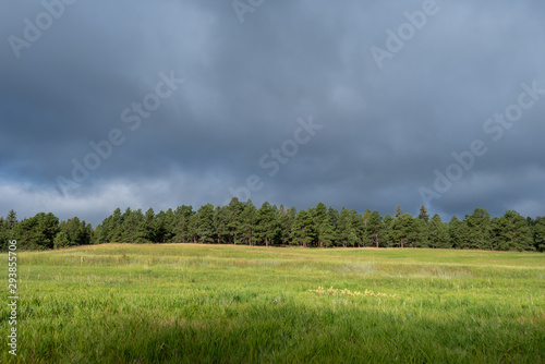 Landscape of green meadow  forest behind and storm clouds near Evergreen  Colorado