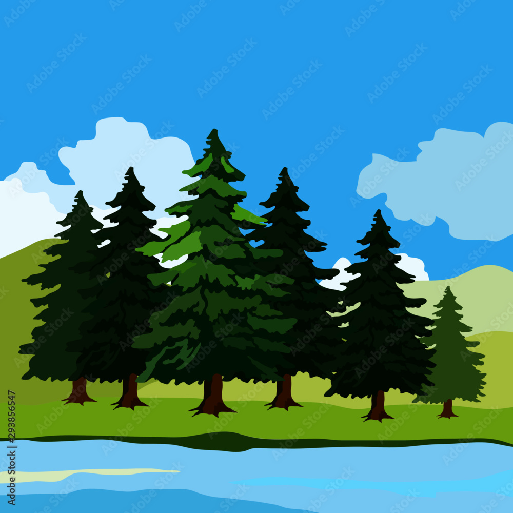 Fototapeta premium landscape image, fir trees, horizon