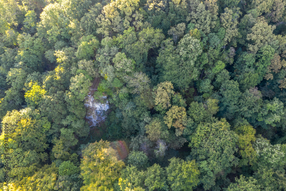 Naklejka premium Forest near Daruvar from the air