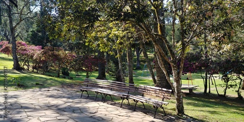 Obraz na plátně Parque Estadual do Caracol (Caracol Park), is a Brazilian conservation unit and its splendid landscape makes it one of the most visited tourist spots in southern Brazil