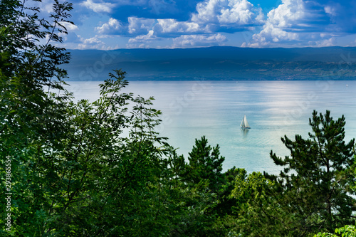 Top view of white sailboats on Lake Geneva, green trees in the foreground and mountains with blue sky and clouds in the background.Thonon les Bains,Haute-Savoie in France.