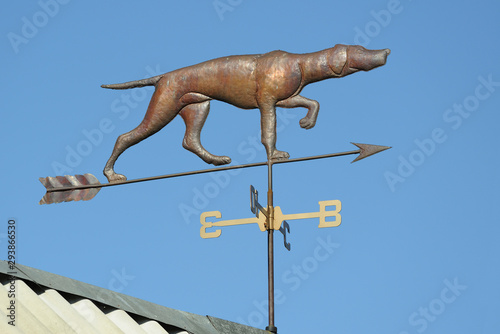 weather vane dog on the roof of the house. Against the blue sky.