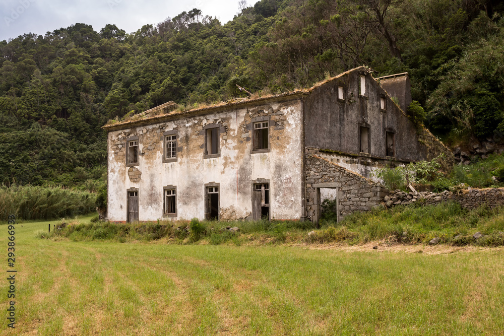 Abandoned house, meadow and forest