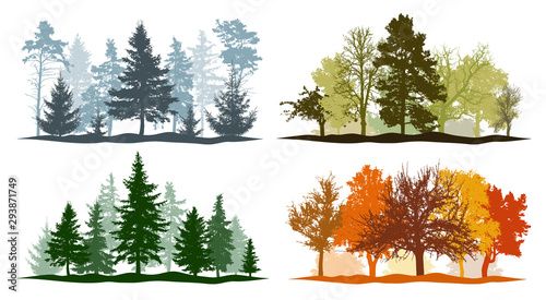 Four seasons. Set of winter, spring, summer and autumn trees silhouettes. Vector illustration.