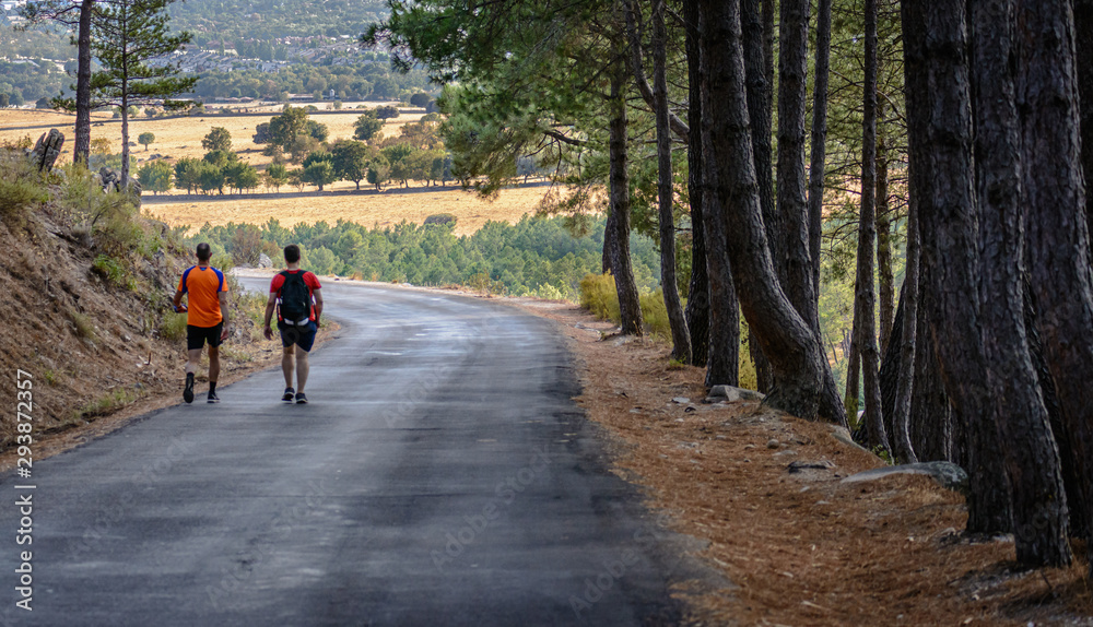 Two men hiking on a mountain road overlooking a field with trees Two men hiking on a mountain road overlooking a field with trees