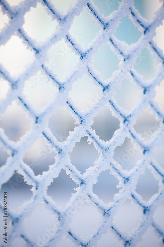 Photographie Frozen fence made of metal mesh covered with snowy hoarfrost, winter day