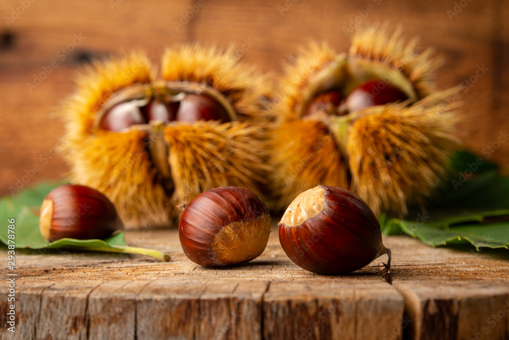 Sweet Chestnuts - Castanea sativa on an old wooden table Sweet Chestnuts - Castanea sativa on an old wooden table