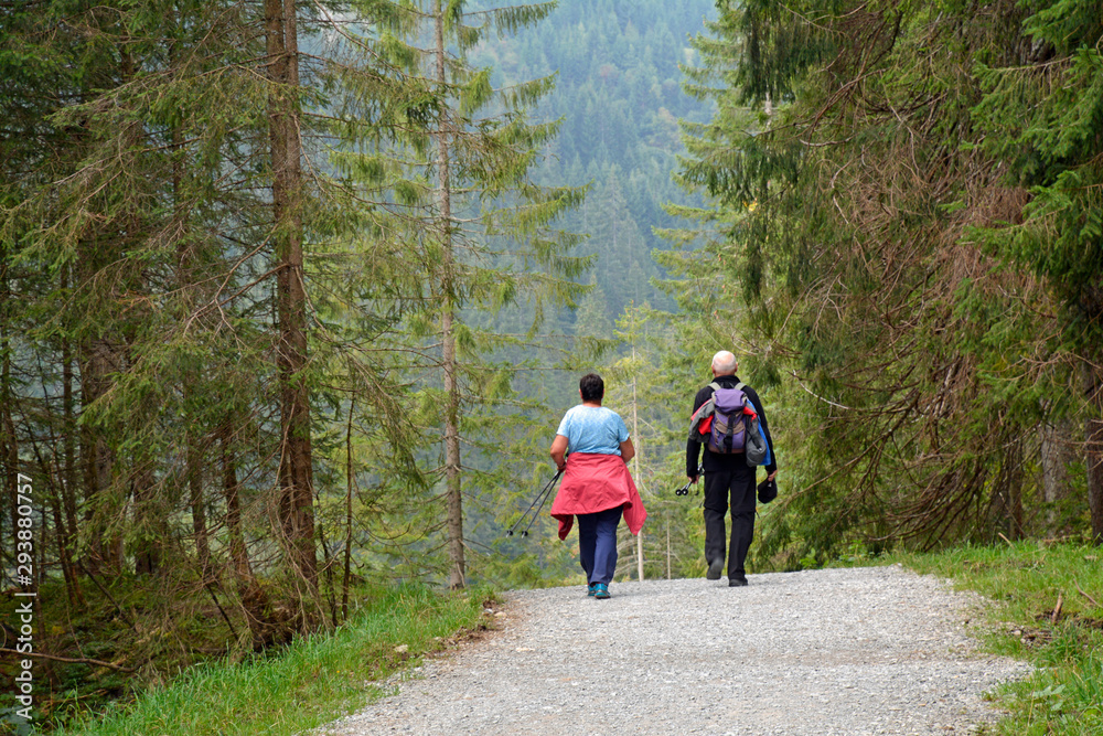 Obraz premium wanderer im kleinwalsertal