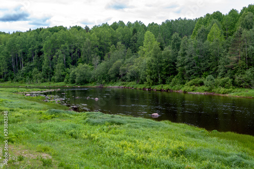 Vazhinka River, Sogynitsy village, Podporozhye district, Leningrad region, Russian Federation photo