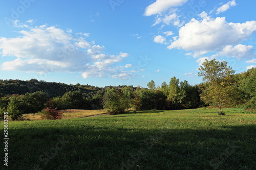 Beautiful meadow, forest and sky..