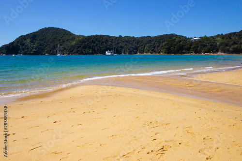 beach at Abel Tasman national park  New Zealand