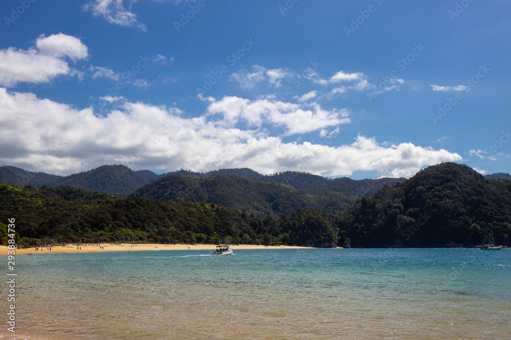 beach at Abel Tasman national park, New Zealand beach at Abel Tasman national park, New Zealand