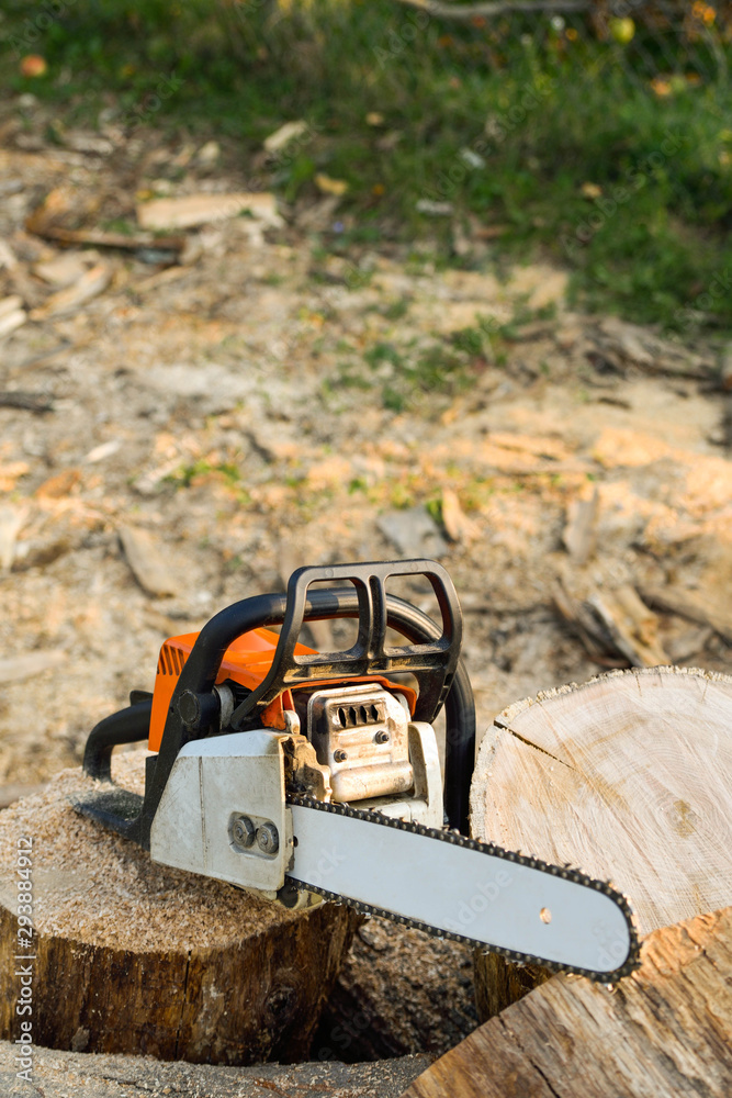  Chainsaw that stands on a heap of firewood in the yard on a beautiful background of green grass and forest.