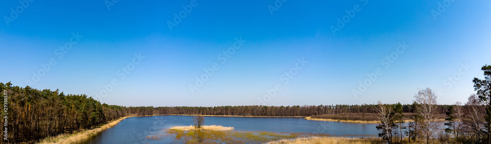 lake in the forest