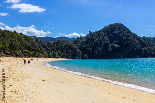 beach at Abel Tasman national park  New Zealand