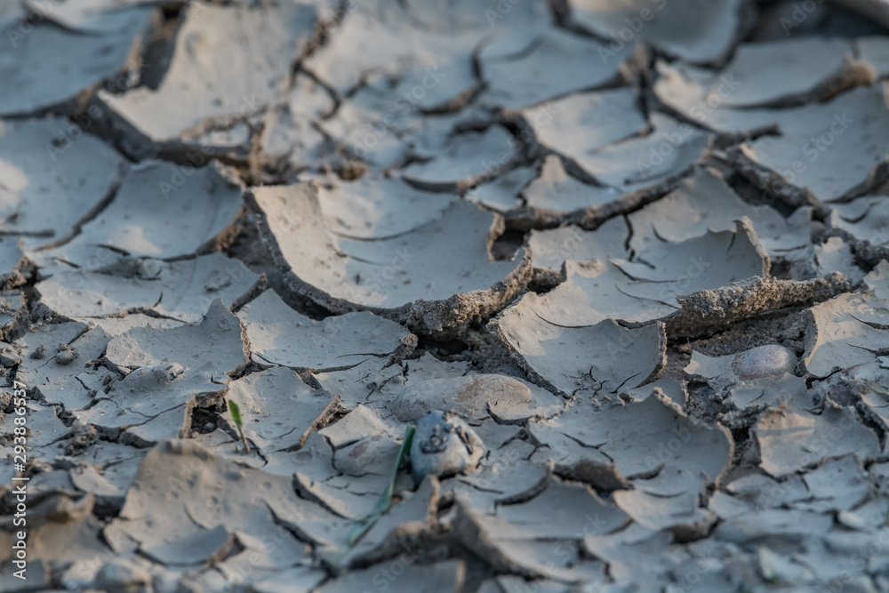 dried up soil dried up soil