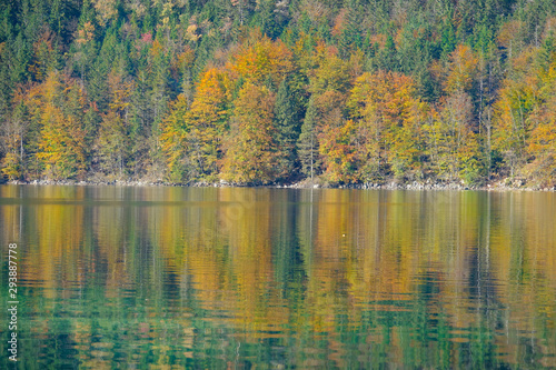 Beautiful shot of forest covered hill reflected in surface of a tranquil lake.