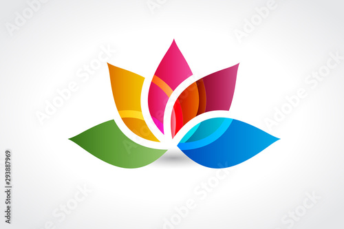 Logo colorful lotus flower logotype vector image web design template