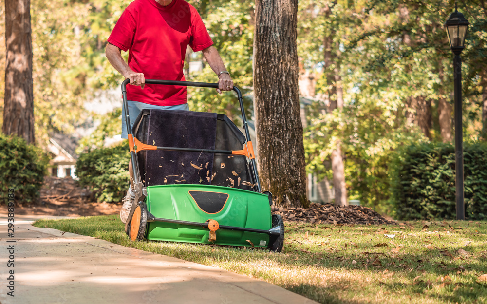 Man using manual push lawn sweeper to remove fall leaves from residential backyard grass lawn.