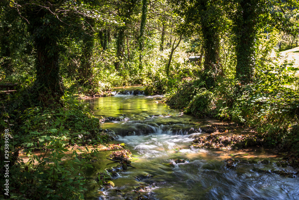 Fototapeta premium River and forest on Janjske otoke near the Sipovo, Bosnia and Herzegovina