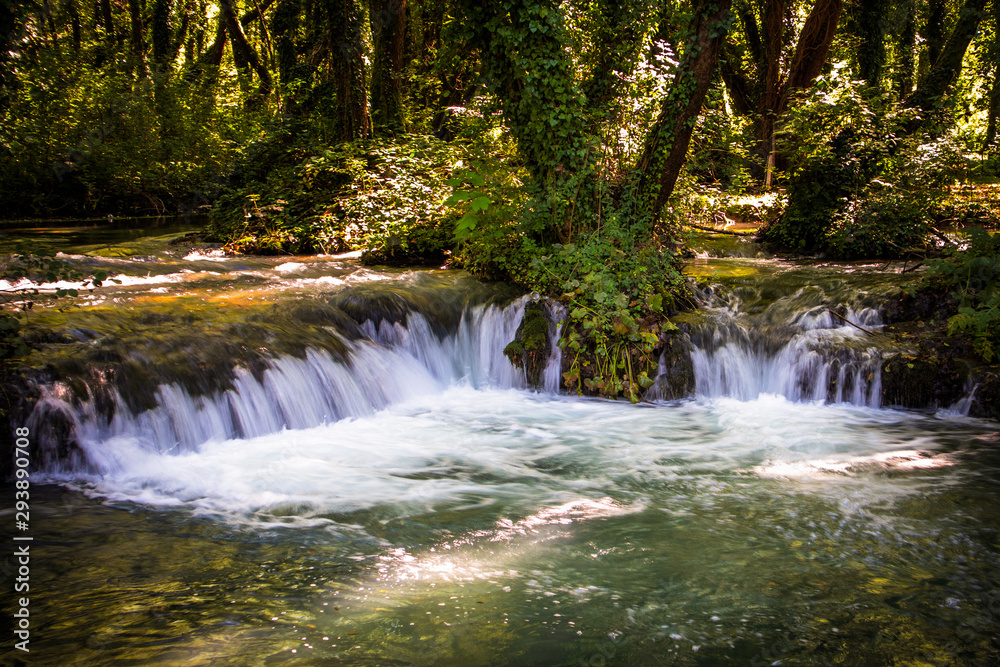 Fototapeta premium River and forest on Janjske otoke near the Sipovo, Bosnia and Herzegovina