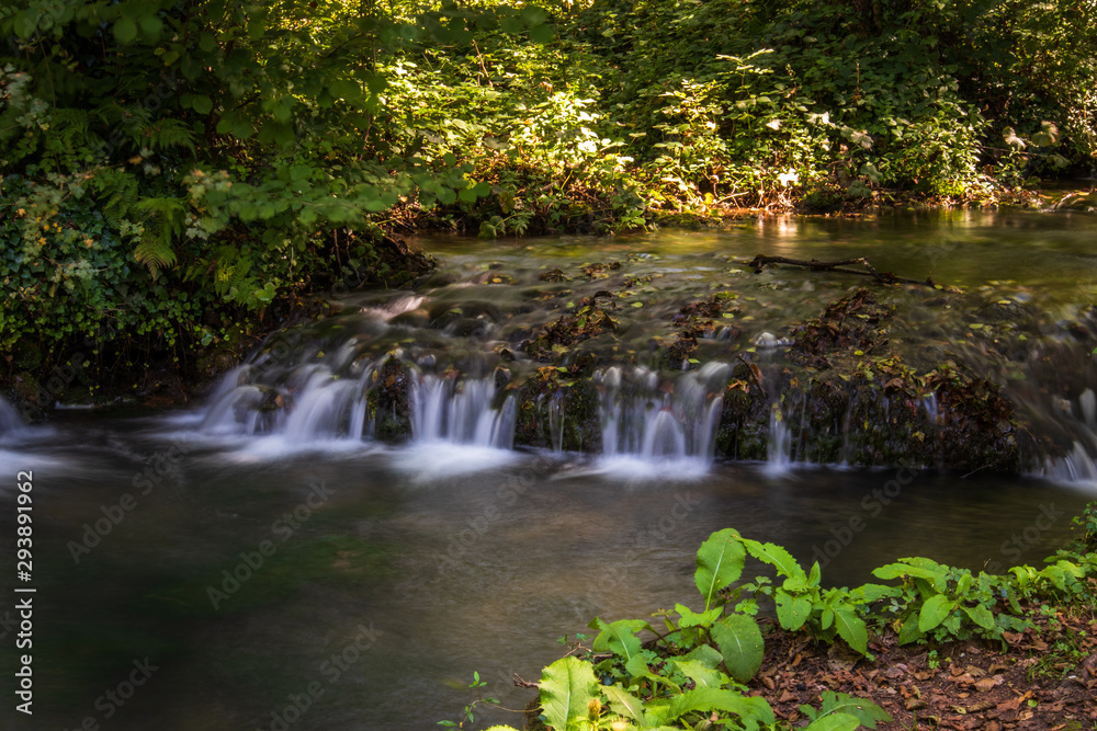 Obraz premium River and forest on Janjske otoke near the Sipovo, Bosnia and Herzegovina