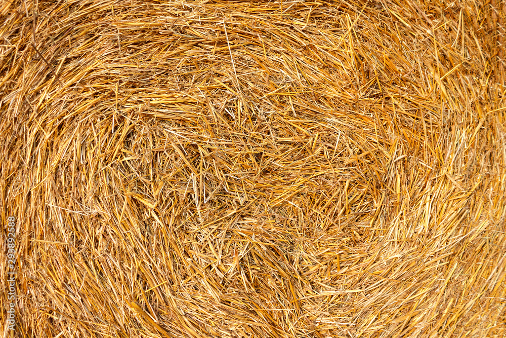 mown hay and straw closeup background mown hay and straw closeup background