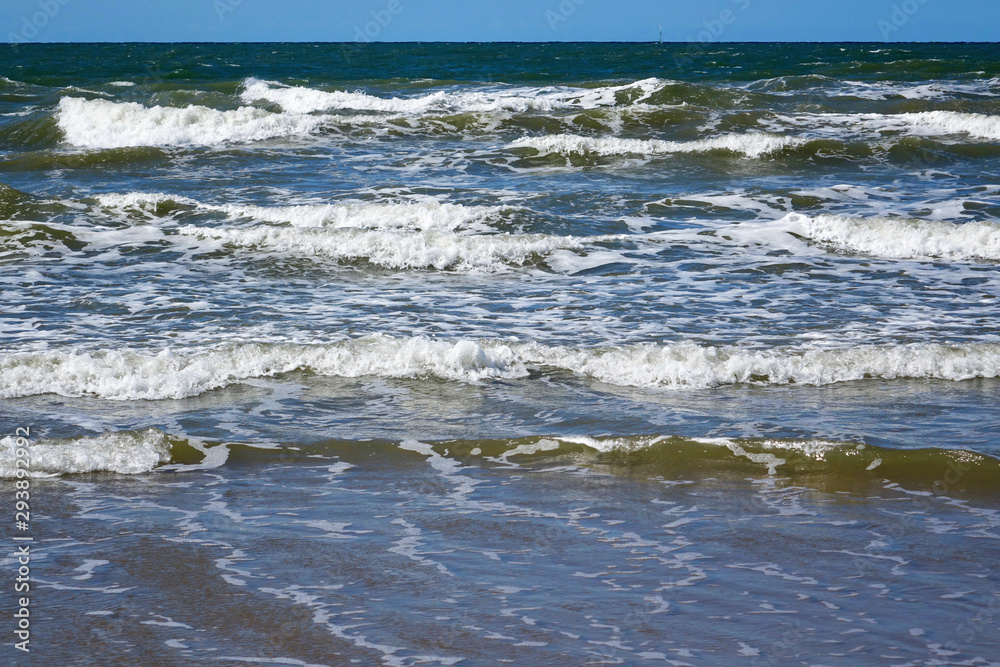 Background from the sea Background from the sea