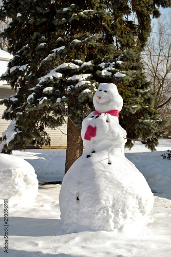 A pink scarf, carrot nose, and charcoal eyes and buttons embellish this  jolly snowman in a suburban yard.