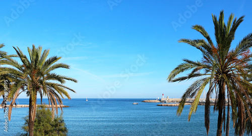 French Riviera - Menton - Palm trees and mediterranean sea