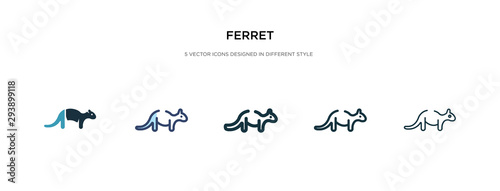 ferret icon in different style vector illustration. two colored and black ferret vector icons designed in filled  outline  line and stroke style can be used for web  mobile  ui