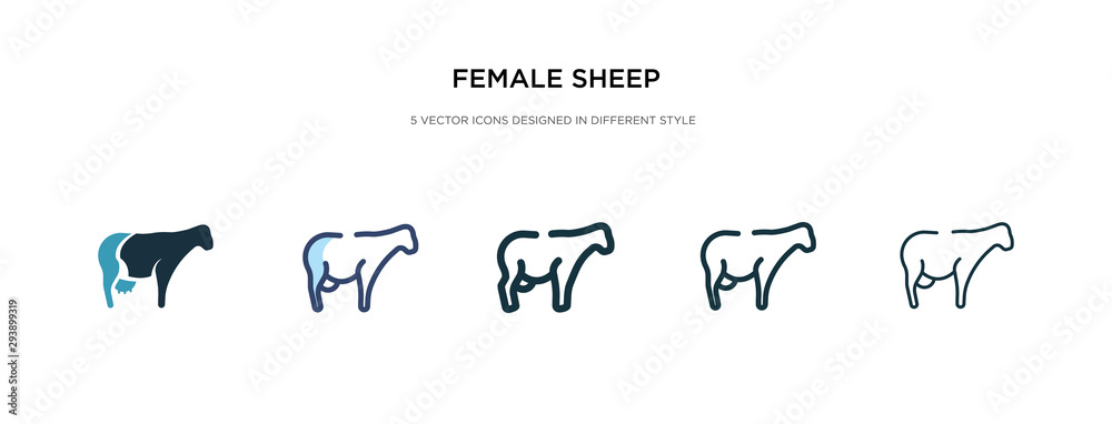 female sheep icon in different style vector illustration. two colored and black female sheep vector icons designed in filled, outline, line and stroke style can be used for web, mobile, ui