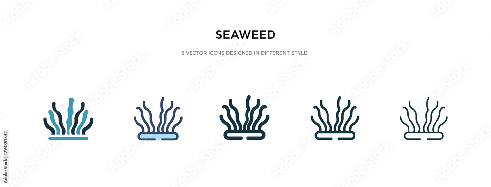 seaweed icon in different style vector illustration. two colored and black seaweed vector icons designed in filled, outline, line and stroke style can be used for web, mobile, ui